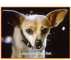 Carlos Alazraqui voice of the Taco Bell dog